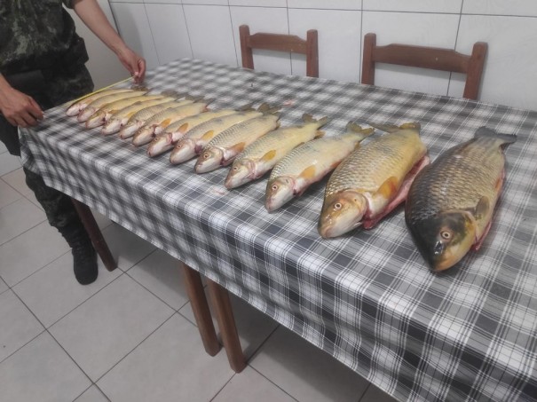 Fiscaliza��o apreende 18 quilos de peixes e multa pescadores em R$ 3,1 mil por captura durante a piracema