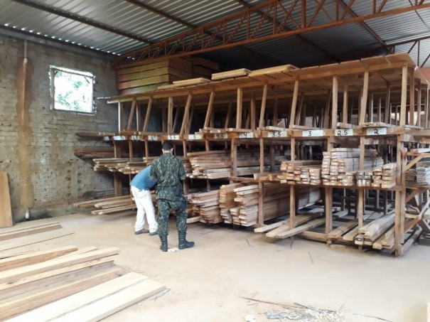 Pol�cia Ambiental apreende madeira irregular e homem � autuado em mais de R$ 11 mil em Paulic�ia