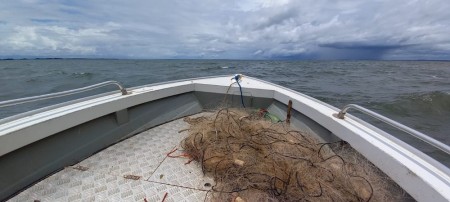 Polícia Ambiental apreende redes de emalhar irregulares no Rio Paraná, em Presidente Epitácio