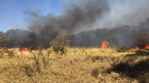 Incndio em vegetao  registrado prximo ao antigo IBC, em Osvaldo Cruz