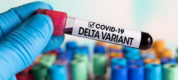 Governo de SP confirma que variante delta da Covid-19 circula no estado e avalia reduzir intervalo da 2� dose de vacinas