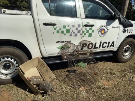 Morador de Osvaldo Cruz é autuado por caçar animal silvestre e por manter aves e jabutis em cativeiro