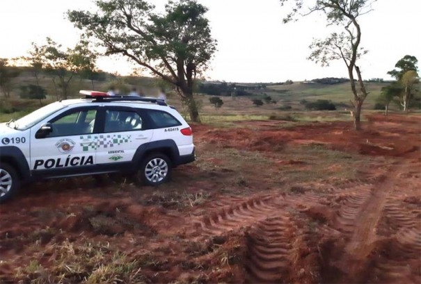 Destruir vegeta��o nativa rende multa de R$ 770,00 em Tup�