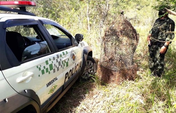 Pol�cia Ambiental apreende petrechos de pesca no Rio do Peixe, em Bastos