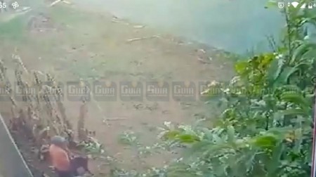 Homem é flagrado por câmeras de segurança praticando ato sexual com cadela em Birigui