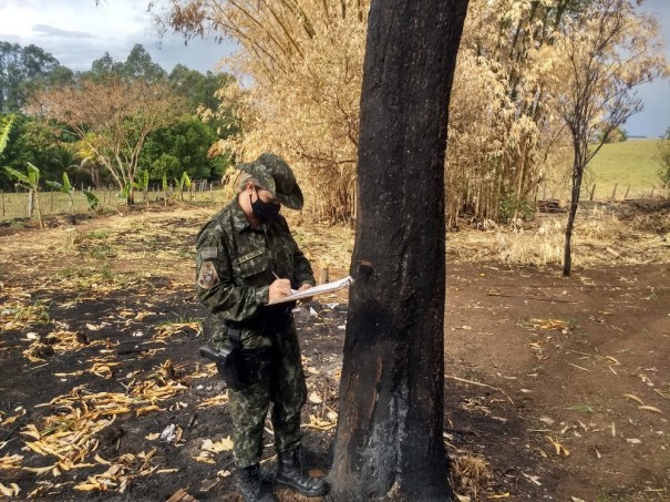 Imagens de sat�lite apontam focos de queimada em ch�cara e pol�cia constata queimada de oito �rvores em OC