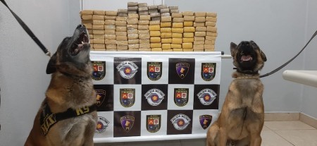 Abordagem policial acaba com 88 kg de maconha apreendidos e casal de namorados preso em flagrante