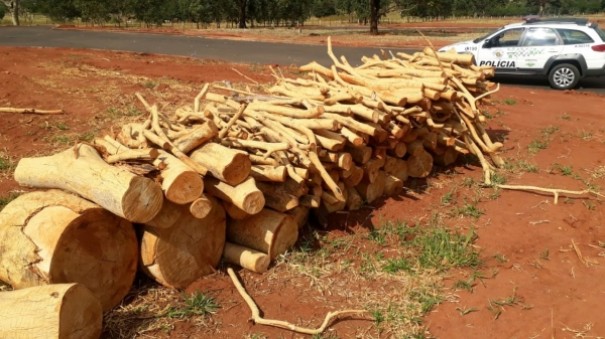 PM Ambiental flagra corte de rvores em propriedades rurais e multas chegam a R$ 4,5 mil