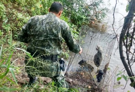 Polícia Ambiental de Tupã apreende petrecho de pesca no Rio do Peixe, em Bastos