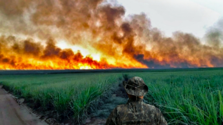 Ministério Público e Polícia Ambiental fazem operação contra incêndio em vegetações