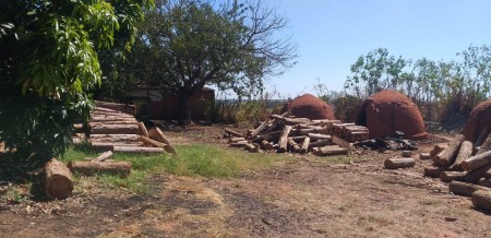 Carvoaria é denunciada por operar sem licença e proprietário é multado em quase R$ 1,5 mil