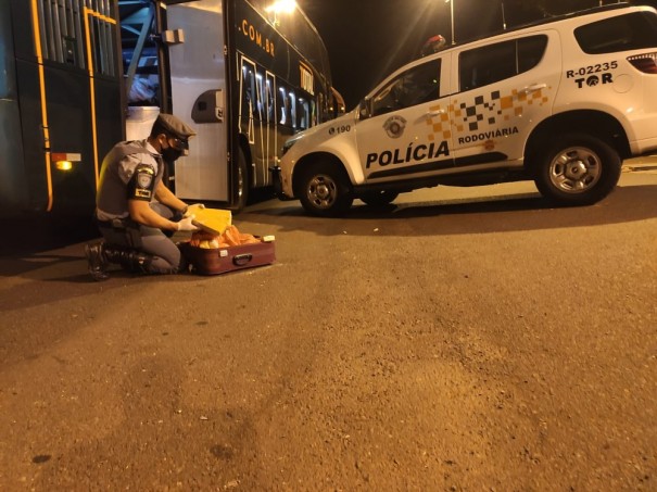 Durante vistoria em �nibus, pol�cia localiza 15 tabletes de maconha em mala