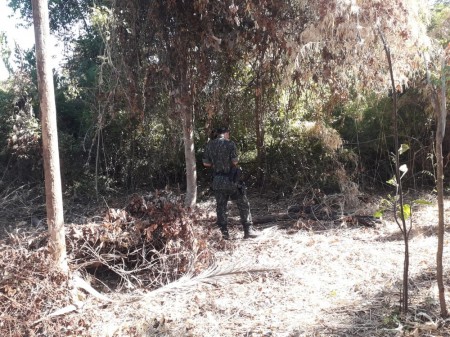 Destruição de vegetação rasteira nativa em chácara termina em multa de R$ 815 em Mariápolis