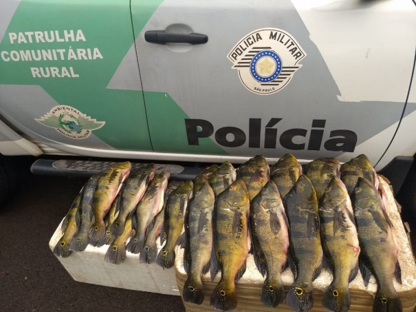 Abordado em Tupi Paulista, homem recebe multa de R$ 1,6 mil por transporte irregular de peixes