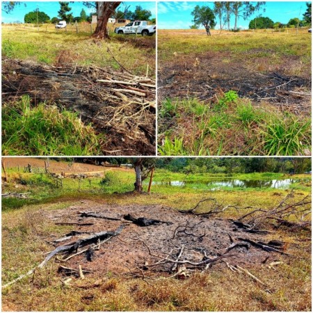 Sitiante recebe quase R$ 28 mil em multas por corte de árvores e degradação em Área de Preservação Permanente