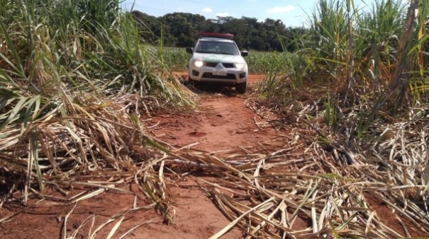 Pol�cia Ambiental e Minist�rio P�blico Estadual encerram opera��o Huracan