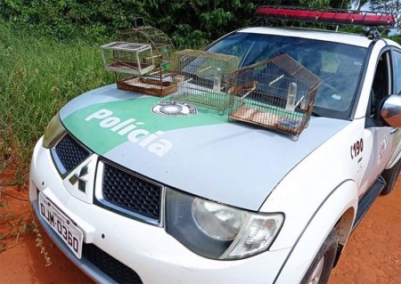 Polícia Ambiental de Tupã apreende aves silvestres em cativeiro e usadas para caça