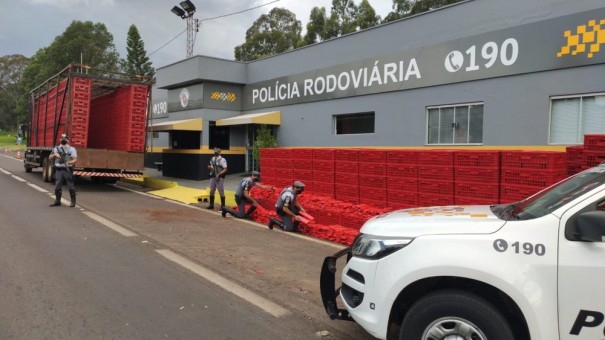 Pol�cia Rodovi�ria apreende grande carga de maconha escondida em meio a caixas de pl�stico em caminh�o