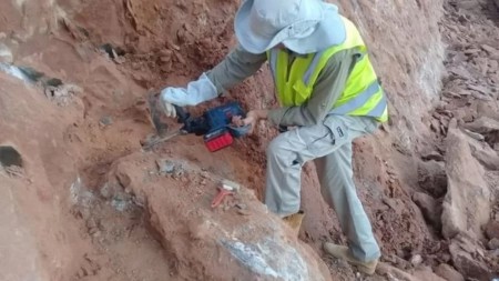 Novos ossos de dinossauro são encontrados em rodovia SP-333 em Marília