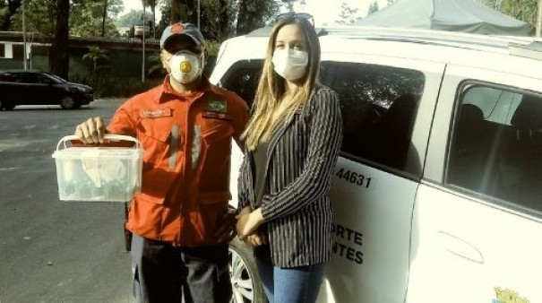 Tup entrega mais de 200 amostras vivas de escorpies para o Butantan