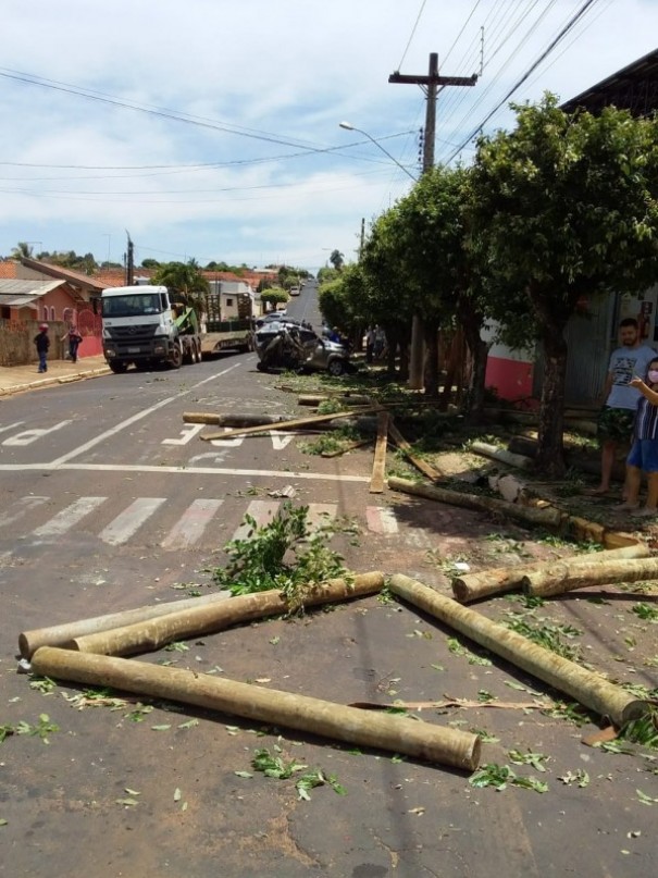 Carro fica destrudo aps acidente com caminho carregado com toras em Junqueirpolis