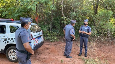 Policial militar se depara com onça-parda durante buscas por idoso que se perdeu em área de mata