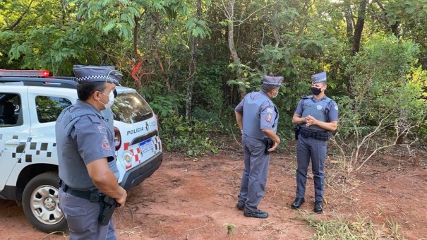 Policial militar se depara com on�a-parda durante buscas por idoso que se perdeu em �rea de mata