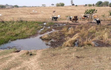 Polícia Ambiental aplica mais de R$ 51 mil em multas por degradação ambiental em Iacri