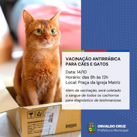 Etapa de vacinação antirrábica e coleta de leishmaniose que aconteceria hoje foi cancelada