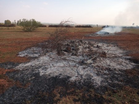Queimada em lavouras de urucum e cana-de-açúcar rende multa de R$ 4,7 mil a sitiante em Mirante do Paranapanema