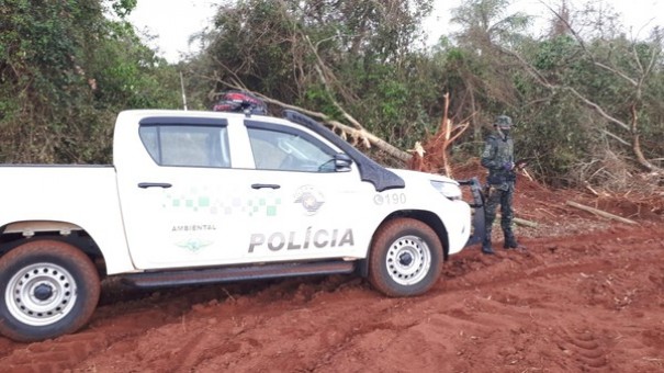 Homem recebe multa de mais de R$ 1 mil pela destruio de vegetao nativa em Euclides da Cunha Paulista
