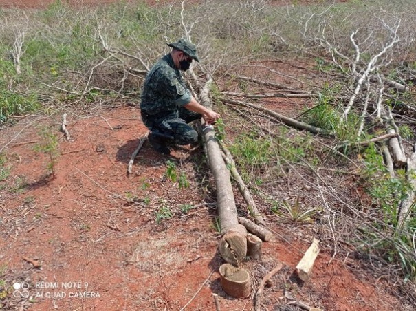Monitoramento de imagens via sat�lite constata irregularidades ambientais e sitiante � multada em R$ 40 mil