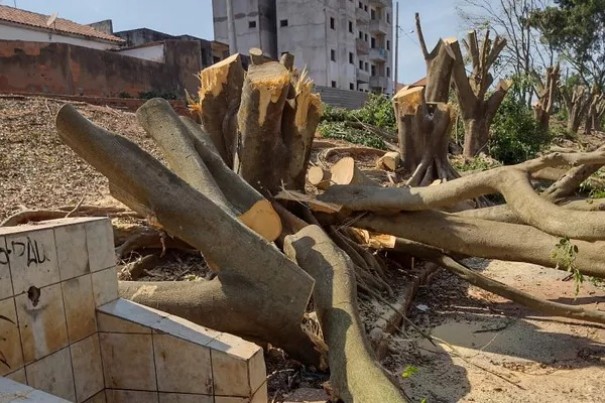 Corte e poda irregulares de �rvores rendem R$ 42,5 mil em multas � Prefeitura de Regente Feij�