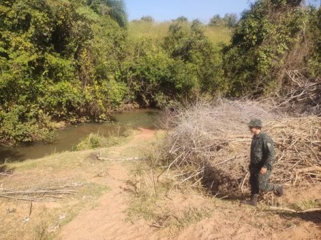 Fazendeiro é autuado em R$ 213 mil por destruir vegetação nativa, em Santa Mercedes