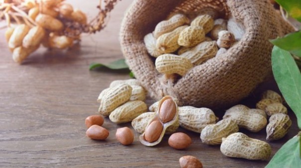 Solidariedade: Tup� confirma realiza��o do 1� Amendo Fest em agosto