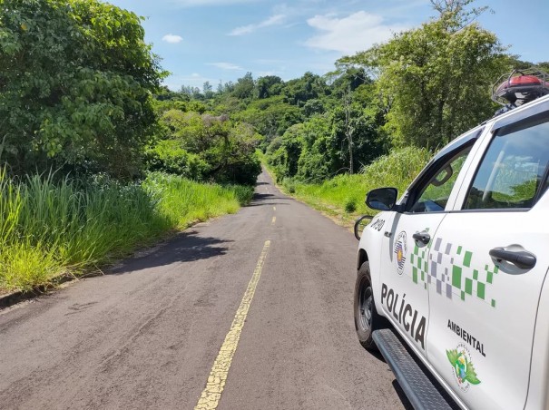 Em um ano, Pol�cia Ambiental contabiliza mais de R$ 4,5 milh�es em multas por danos � flora na regi�o de Presidente Prudente