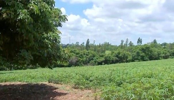 Tup� � uma das quatro cidades do estado de SP escolhidas para projeto-piloto de saneamento b�sico na �rea rural