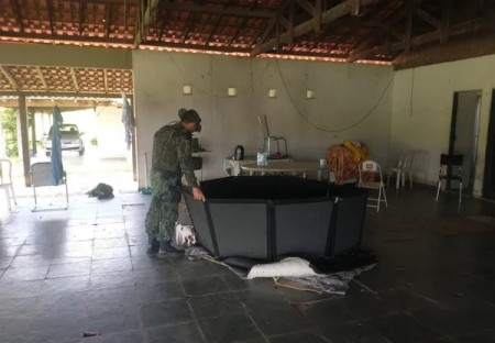 Homem é multado em quase R$ 50 mil por maus-tratos a galos usados em rinha em Marília