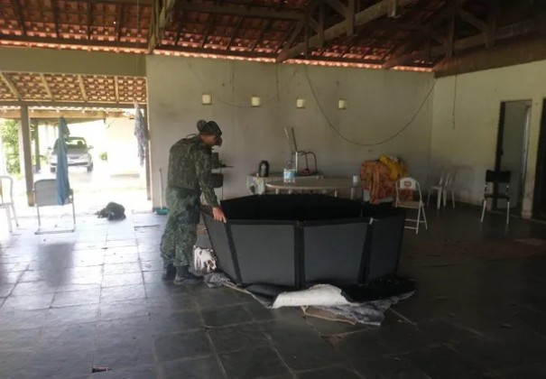 Homem � multado em quase R$ 50 mil por maus-tratos a galos usados em rinha em Mar�lia