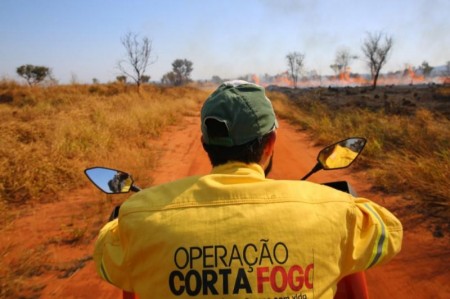 Operação Corta-Fogo registra queda de 59% na incidência de incêndios florestais no estado