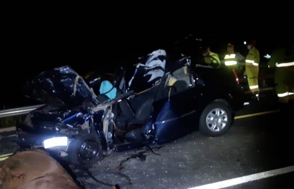 Morador de Osvaldo Cruz morre em acidente envolvendo animal na pista na SP-294, em Luc�lia