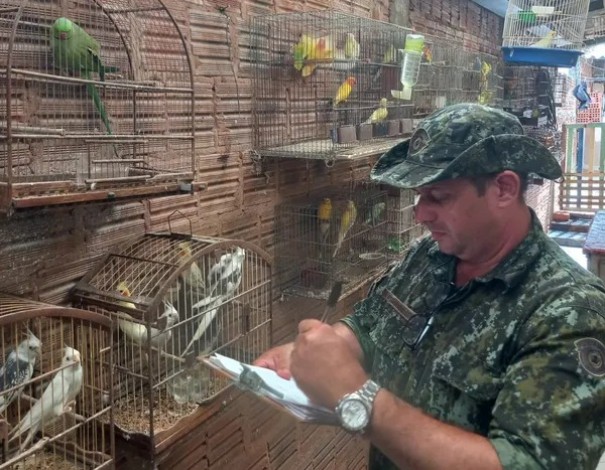 Homem � multado em mais de R$ 13 mil por manter aves ex�ticas em cativeiro, em Rancharia