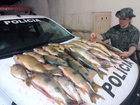 Polícia Ambiental apreende 45 kg de peixes nativos e autua pescador em R$ 1,9 mil em Paulicéia
