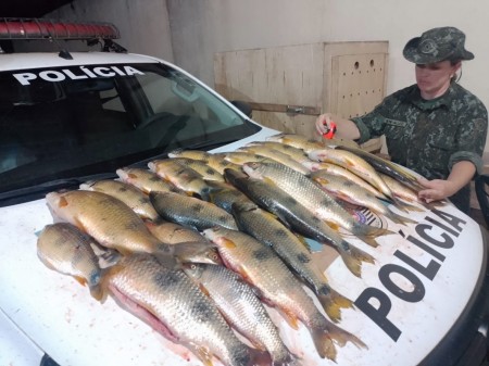 Polícia Ambiental apreende 45 kg de peixes nativos e autua pescador em R$ 1,9 mil em Paulicéia