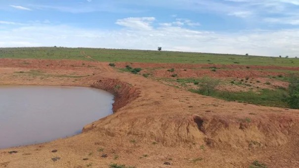 Arrendat�rio � multado em R$ 4,4 mil por degrada��o de �rea de Preserva��o Permanente em Flora Rica