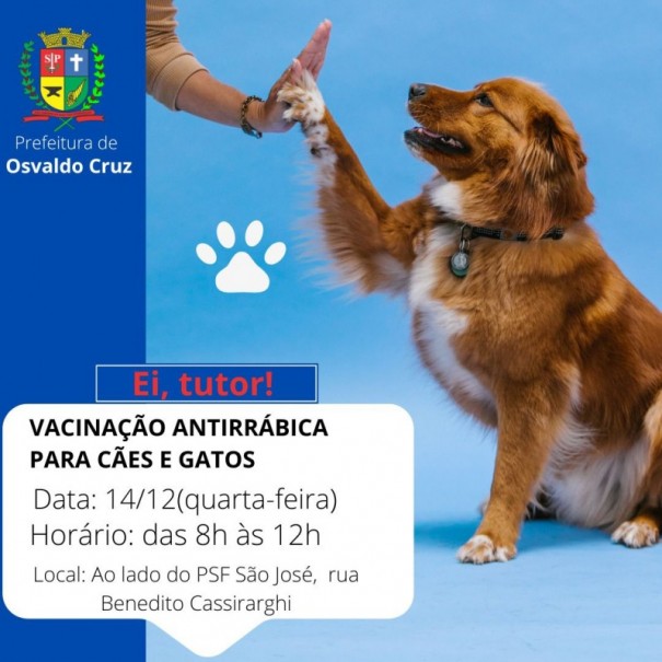 Prefeitura realiza hoje nova etapa de vacinao antirrbica em Osvaldo Cruz