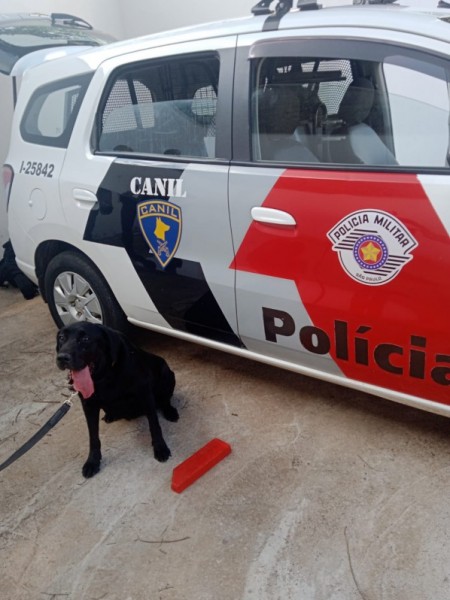 Com auxílio do Canil, Polícia Militar faz apreensão de tijolo de maconha na Linha Férrea, em OC
