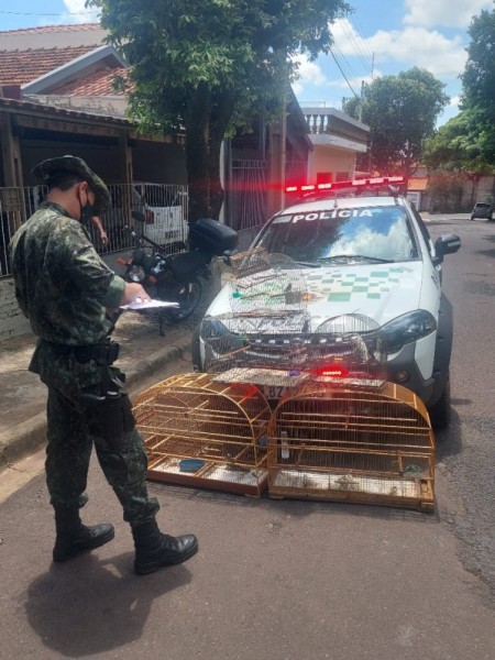 Polícia Ambiental liberta cinco aves de cativeiro e autua homem em R$ 2,5 mil em Osvaldo Cruz