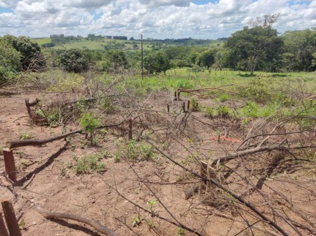 Sitiante é autuado em mais de R$ 30 mil pela derrubada irregular de 104 árvores em Álvares Machado