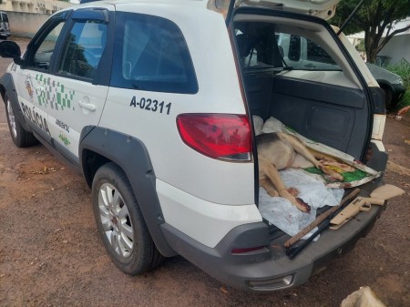 Homem leva multa de R$ 6 mil após matar cachorra a pauladas e tiros de chumbinho em chácara em Presidente Venceslau